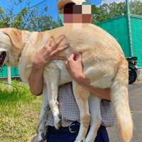 自認
