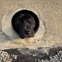 目が合った！！