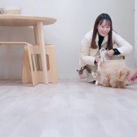 マルプーのはちまるちゃん