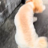 「こっちにおいで♡」