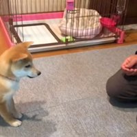 おすわりするみなみちゃん