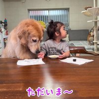 パパとママが戻ってきた