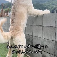 美しすぎるつかまり立ち