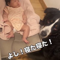 赤ちゃんの横でこちらを見る犬