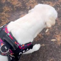 ちょっと進んでは…