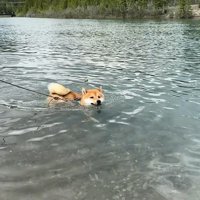 「わっ、やばい！溺れちゃうよ～っ」