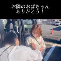 頭を撫でられる犬