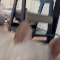 カメラに近づく犬