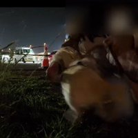 再会を思う存分味わった