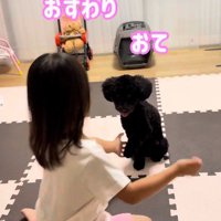 トレーニングも♪
