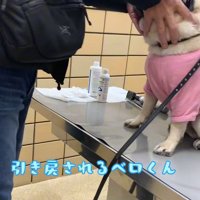 診察台の上で緊張状態に…