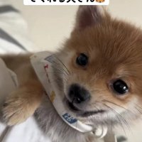 必死に阻止する姿が愛おしい