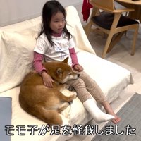 怪我をした女の子に寄り添う花子ちゃん