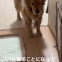 大のママっ子が…