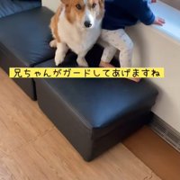 男の子が段差を降りる時のサクくん7