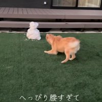 「勝手に庭に入って！！」