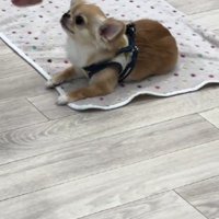 とってもよくできました♡