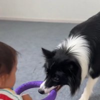 一緒に遊ぶヒマちゃんと赤ちゃん4