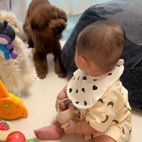 吠え続けるからあげ君