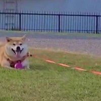 ニコニコ満足そう