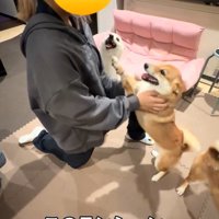 狂喜乱舞の3姉弟