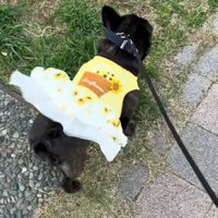 突然の突風！！