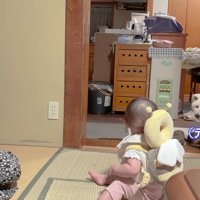 赤ちゃんを見つめるあいちゃん