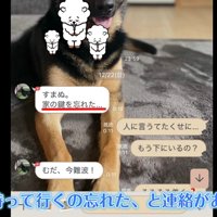 パパさんから「鍵を忘れた」と連絡が