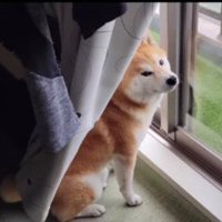 「お風呂は今度にするわ」