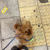 おすわりするうーろんくん