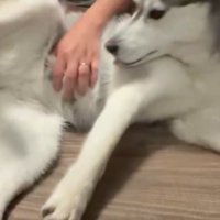 顔