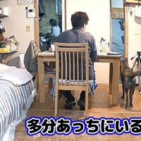 数ヶ月前、パパさんが「マメは？」と聞くと…