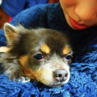 辛すぎる現実が