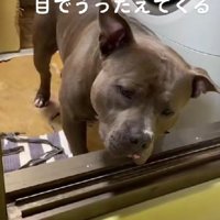 「どうしよう…」