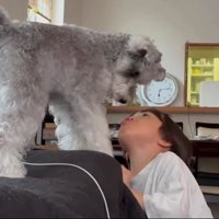 飼い主さんの甥と小型犬