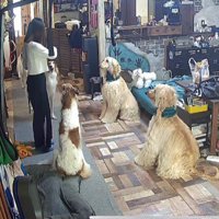 かっこいい長女に感嘆！