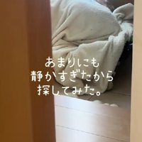 探してみたら…