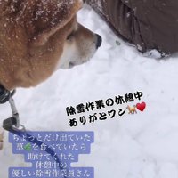 「ありがとわん…」