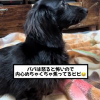 緊張感がすごい！