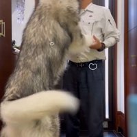 感動の再会のふたり