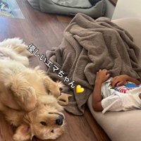 長男に寄り添う大型犬