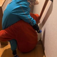 人間の子どもよう