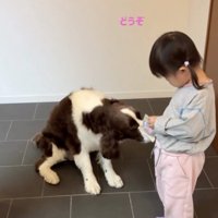 優しさが滲み出てます