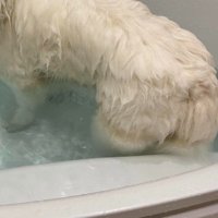 遠目に眺めてみたら…