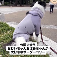 「あの人たちは…！」