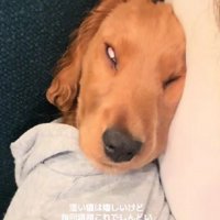 輪郭が縦に伸びてしまった