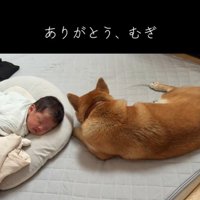 尊い光景にほっこり♡