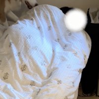 仕事はこなしているけれど