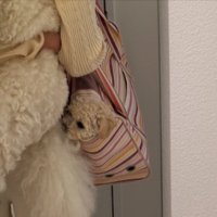 お出かけ