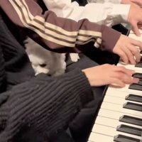 いつもは仲良しなのに